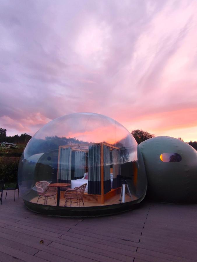 ホテル Luzada Glamping Burbujas - Designed For Adults Juances エクステリア 写真